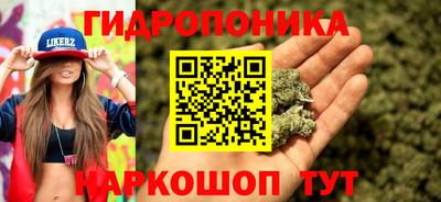 хмурый Заводоуковск