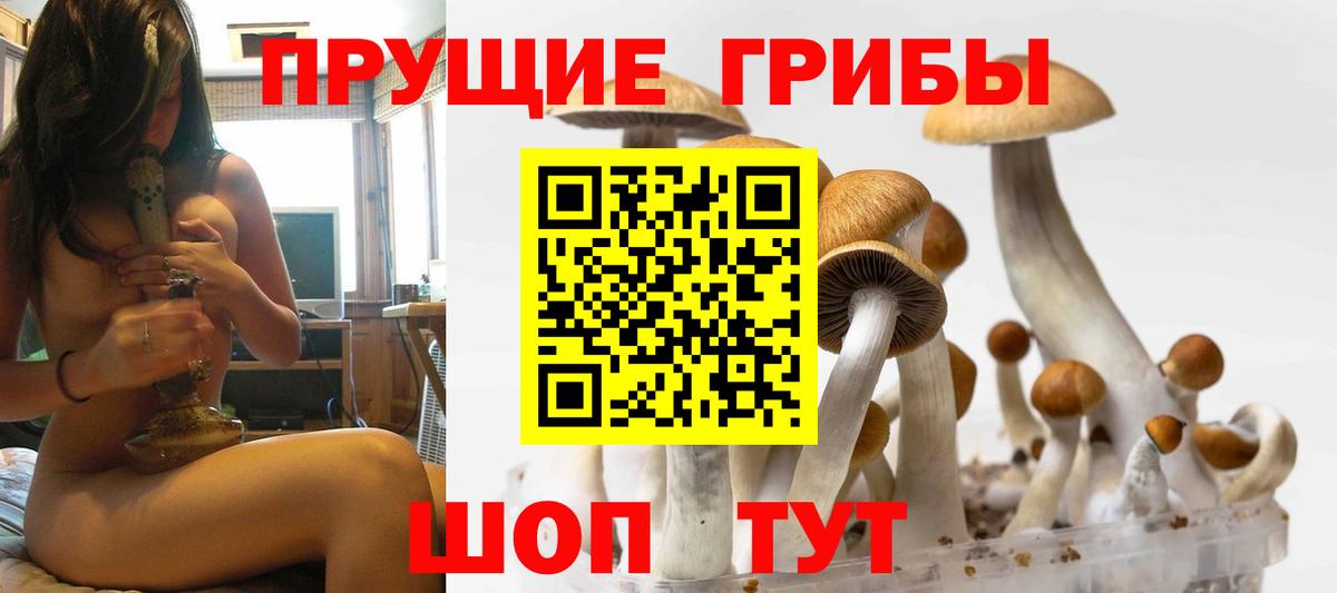 Галлюциногенные грибы Magic Shrooms Мценск