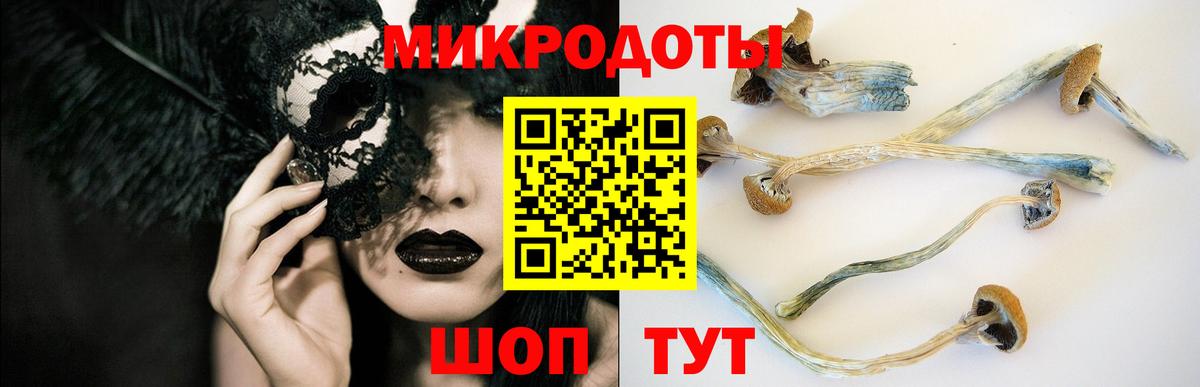 Галлюциногенные грибы MAGIC MUSHROOMS  Галлюциногенные грибы Psilocybe  Мценск  Вход с VPN 